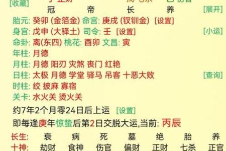 食伤星在命局中的独特作用与影响解析