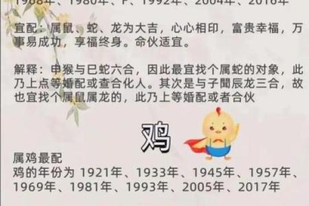 十二生肖与凤凰命：揭开传统生肖背后的神秘面纱