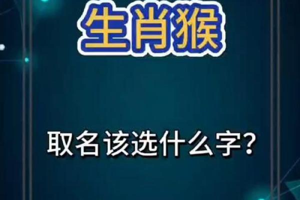 属猴木命的宝宝取名指南:为聪慧的你选择一个优雅的名字 属猴木命的宝宝取名指南:为聪慧的你选择一个优雅的名字