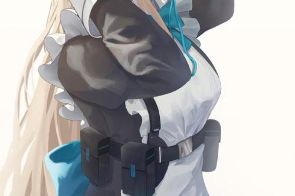 女仆一命：独特搭配与游戏中的奇妙体验