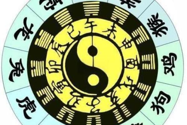 1991年出生属什么命？揭秘生肖的命运与人生！