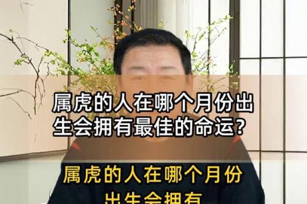 属虎二月二十一出生的命运解析与生活启示