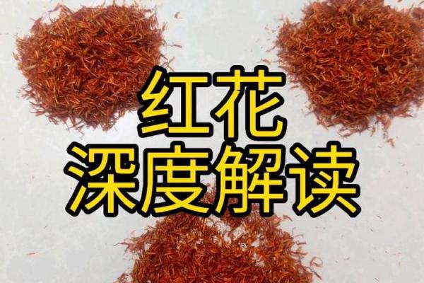 女人桃花命的深层解读与生活影响