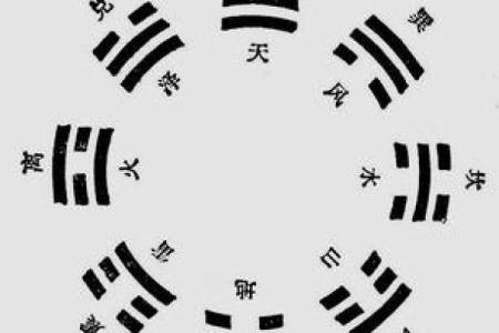 石榴木命与最佳搭配：命理中的和谐之道