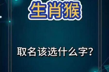 属猴木命的宝宝取名指南：为聪慧的你选择一个优雅的名字