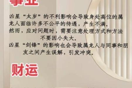 十一月属龙女人命运解析：智慧与魅力的双重绽放
