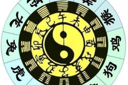 1991年出生属什么命？揭秘生肖的命运与人生！