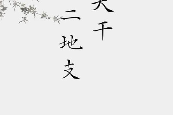 属马卯时兔吃草的命理解析:探寻天干地支的奥秘与人生启示 属马卯时兔吃草的命理解析:探寻天干地支的奥秘与人生启示