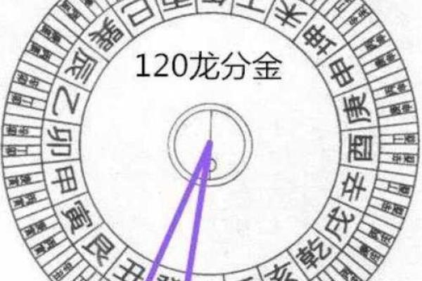 如何通过命理选择适合己山亥向的理想坐向?探寻最佳人生路径! 如何通过命理选择适合己山亥向的理想坐向?探寻最佳人生路径!