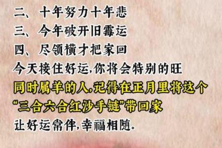 属羊51岁的人生运势与命理解析：开启新篇章的时刻