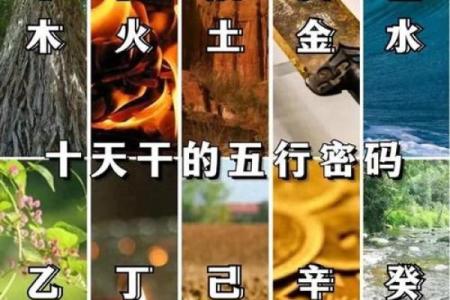 属马卯时兔吃草的命理解析：探寻天干地支的奥秘与人生启示