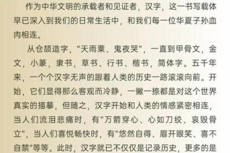 三点水与命令的奥秘：探索汉字的魅力与智慧