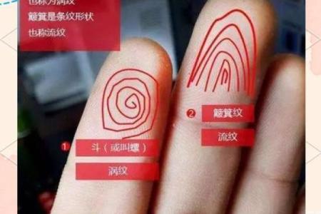 男人手上九个斗的命运解析：神秘数字背后的深层含义