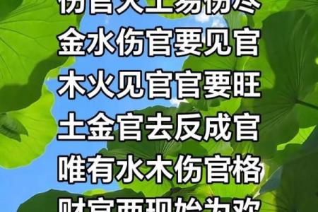 伤官格命：与之相配的命理解析与选择