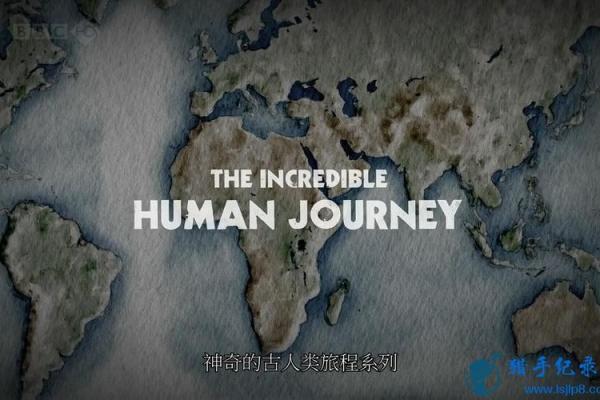 1998年男虎命：解析命理与人生之路的奇妙旅程