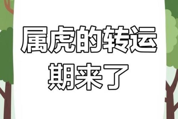 属虎宝宝的命运解析:揭秘8月初5的神秘人生 属虎宝宝的命运解析:揭秘8月初5的神秘人生