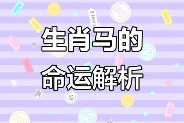属马的人生与命运解析:探寻马年带来的独特气质与机遇 属马的人生与命运解析:探寻马年带来的独特气质与机遇