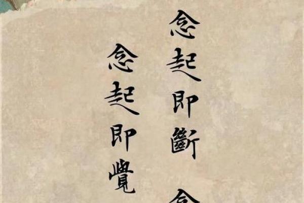 农历8月初四生人的命理揭示:天生的智慧与灵性之旅 农历8月初四生人的命理揭示:天生的智慧与灵性之旅