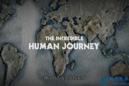 1998年男虎命：解析命理与人生之路的奇妙旅程