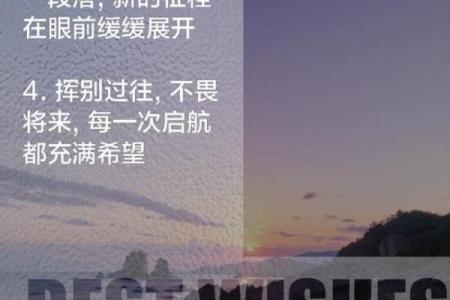 孤苦无依的命运：在孤独中探寻自我和希望的旅程