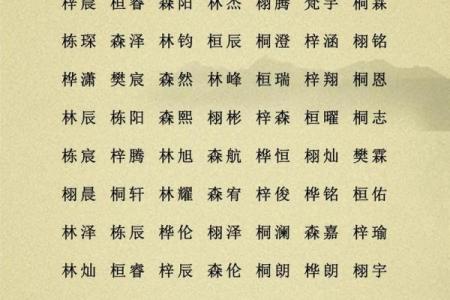 木命五行属什么最佳？为男孩取名的智慧与技巧！