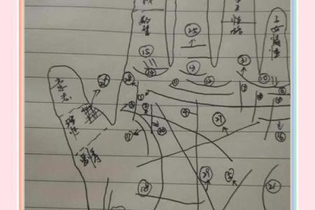 手相纹路解读：揭示命运与未来的秘密之旅