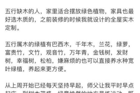 木命人不适合的行业解析，哪些职业要避免？