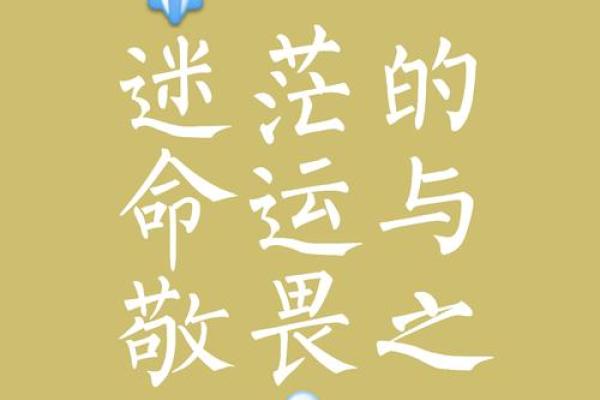 人强命不强命：命运与努力的微妙关系