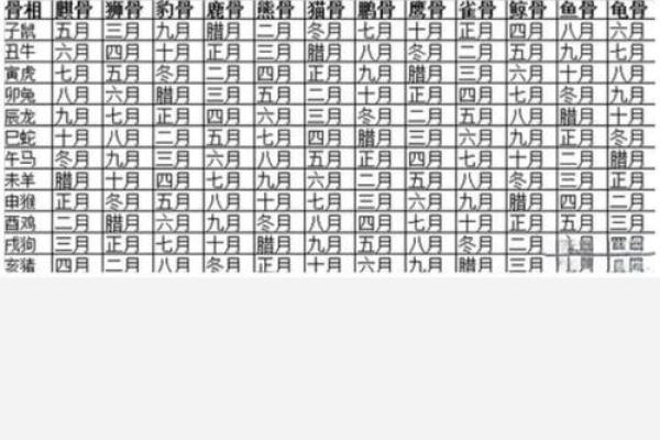 揭秘特殊命格:如何辨识命运的独特之处 揭秘特殊命格:如何辨识命运的独特之处