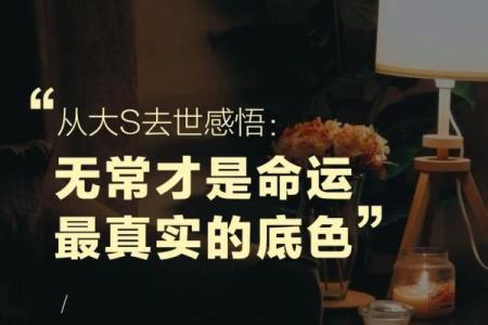 命运无常：揭示人生命运的悲惨与挣扎