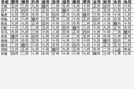 揭秘特殊命格：如何辨识命运的独特之处