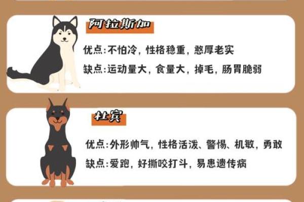 属狗之命与合适配偶的完美搭配:情感的相互依存与默契之美 属狗之命与合适配偶的完美搭配:情感的相互依存与默契之美