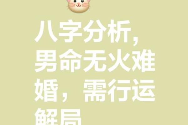 八字命理：为何某些男命倾心妻妾之别？深度解析！