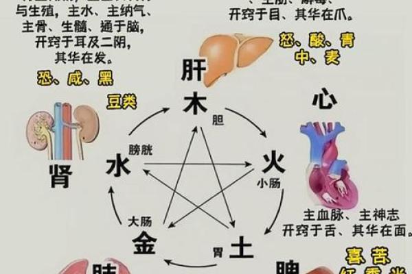 三命五命解析:揭示你的命运与个性特征 三命五命解析:揭示你的命运与个性特征