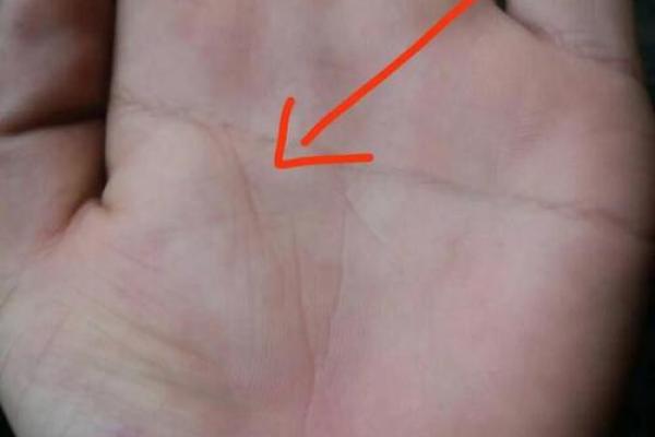 男人左手断掌的命理解析：命运与性格的复杂交织