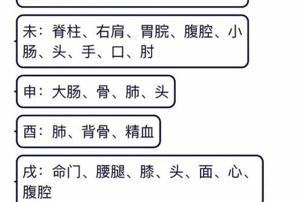 女命日坐时柱绝的深层解析与影响 女命日坐时柱绝的深层解析与影响