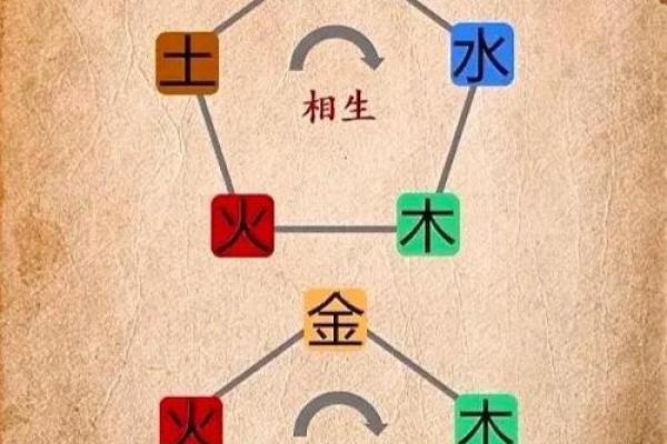 了解王子鼠的五行命理,揭示命运与性格的奥秘 了解王子鼠的五行命理,揭示命运与性格的奥秘