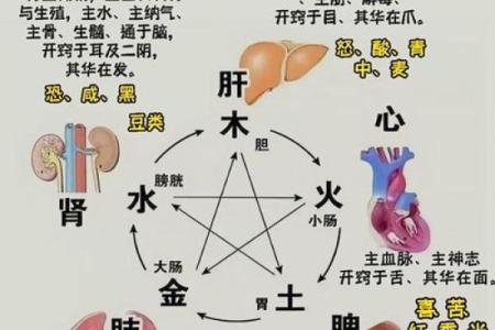 三命五命解析：揭示你的命运与个性特征