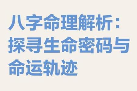 命运的定义：从命理看生命中的选择与机遇