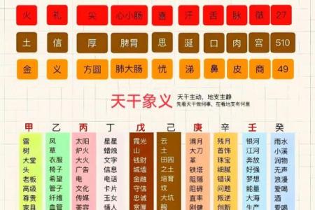 91年羊属什么命，解析五行与生肖的奥秘