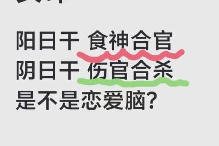 食神女命与男命的理想匹配：风格、性格与情感的最佳组合