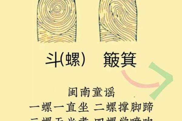 揭秘手纹的奥秘:从指纹看人生命运与性格特点 揭秘手纹的奥秘:从指纹看人生命运与性格特点