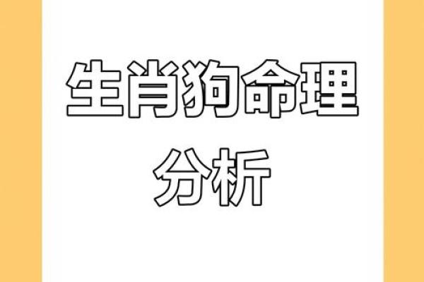 壬戌年出生的大海水命，究竟和什么狗契合？一探命理之奥秘