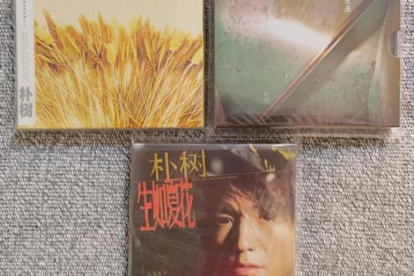 任贤齐的五行命理解析:从音乐到人生的智慧之旅 任贤齐的五行命理解析:从音乐到人生的智慧之旅