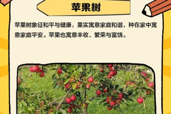 如何选择合适的气候与土壤种植果树与花草的秘诀