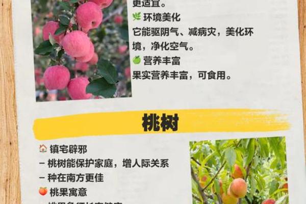 如何选择合适的气候与土壤种植果树与花草的秘诀