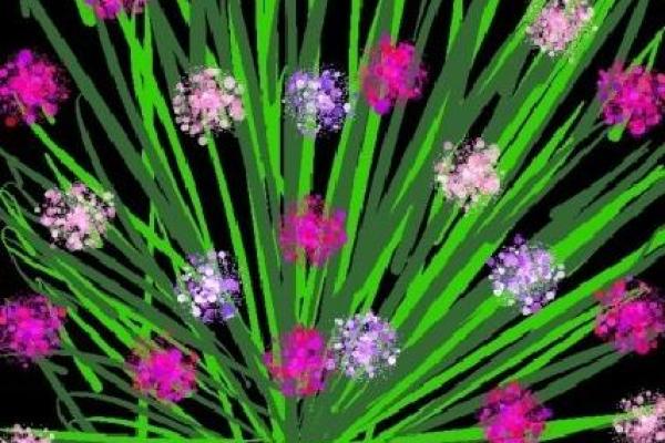 男人双飞蝴蝶命:探索人生中独特的寓意与影响 男人双飞蝴蝶命:探索人生中独特的寓意与影响