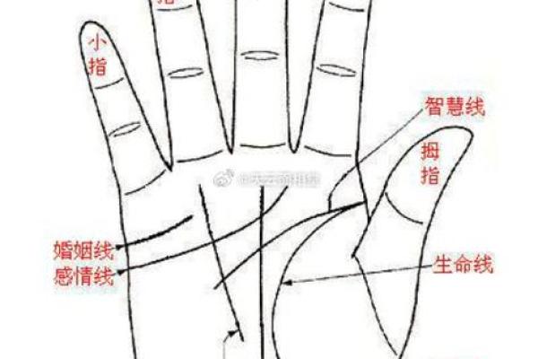 揭秘手上三条线：女人命运的深意与象征