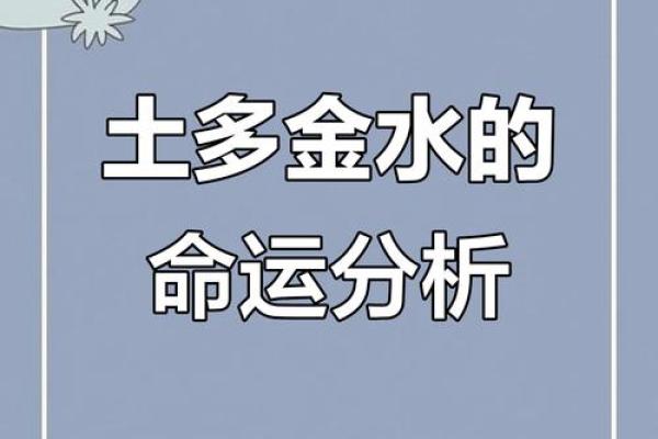 解读命理:探究旺水命人的独特魅力与人生之路 解读命理:探究旺水命人的独特魅力与人生之路