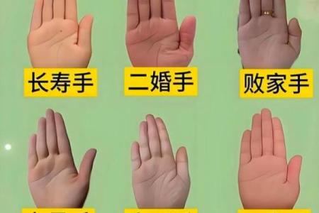 揭秘手纹的奥秘：从指纹看人生命运与性格特点